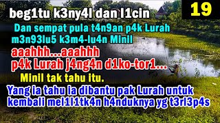 di kelilingi air yg sangat jernih desa ini berada tepat di tengah danau