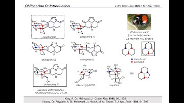 Synthesis Workshop: Total Synthesis of Chilocorine C with Vlad Lisnyak (Episode 24)