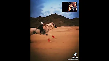 حررت نفسك من حب الحياة خيل العربي لاصيل Shorts حالات واتس سعودية مصر جزائر العراق سوريا 