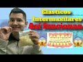 Ligas Elasticas Brackets | Dr. Josué Mejía