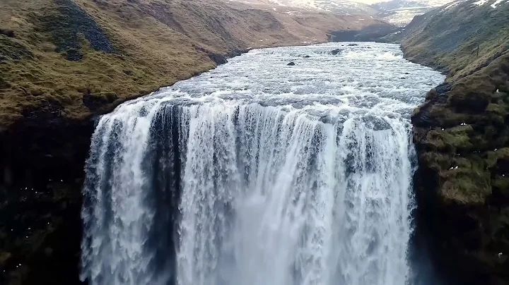Iceland's vertical farm turning algae into food
