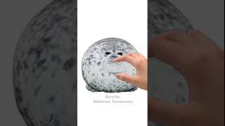 у тюленя к вам важное дело #мем #memes #seal #рекомендации #тюлень