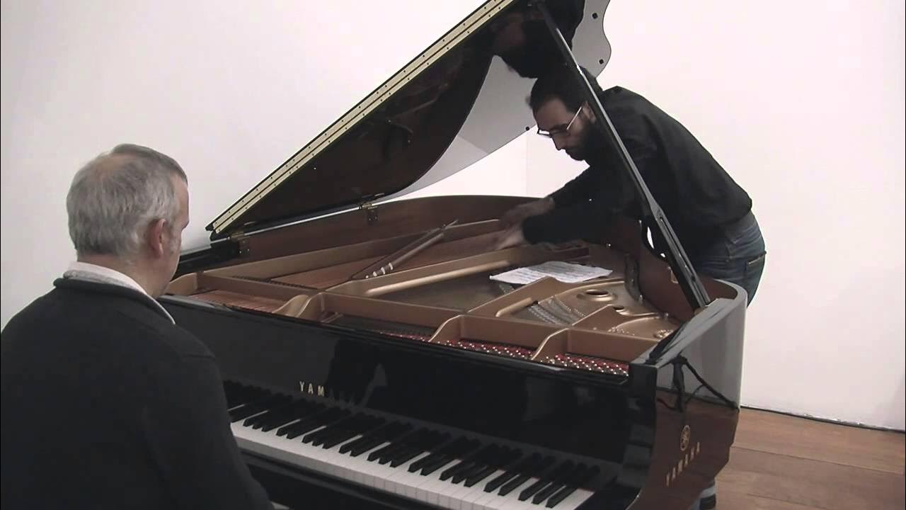 The Banshee - Henry Cowell (1925) The Banshee - Henry Cowell (1925)