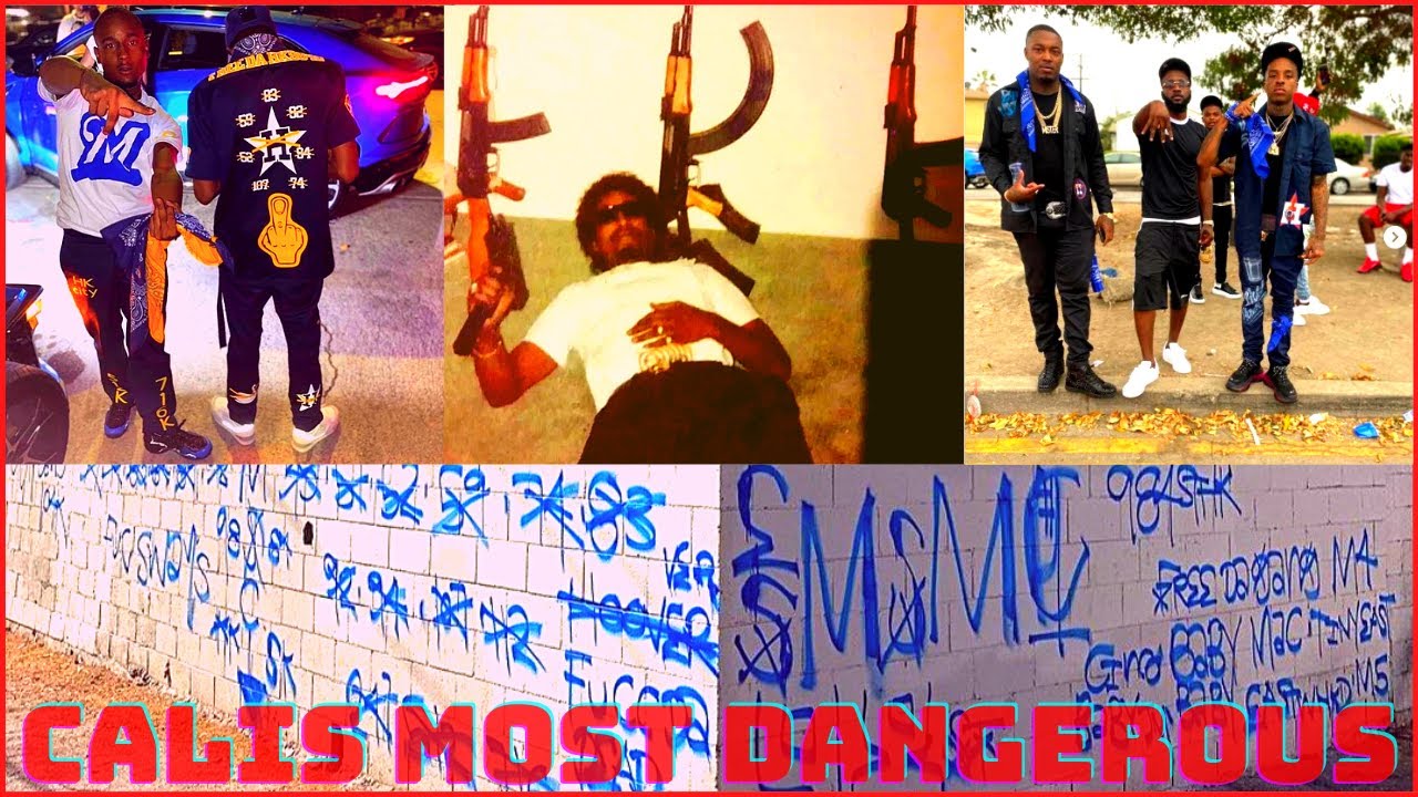 Who are the Main Street Mafia Crips? | the MOST notorious and hated small Crip gang in Los Angeles