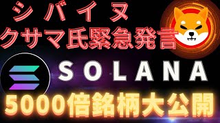 【仮想通貨】【SHIB】【SOLANA】柴犬がETF認証か！？5000倍なるか！