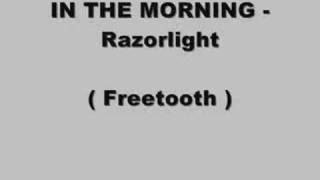 In The Morning  - Razorlight chords