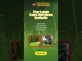 Tailored Lawn Solutions