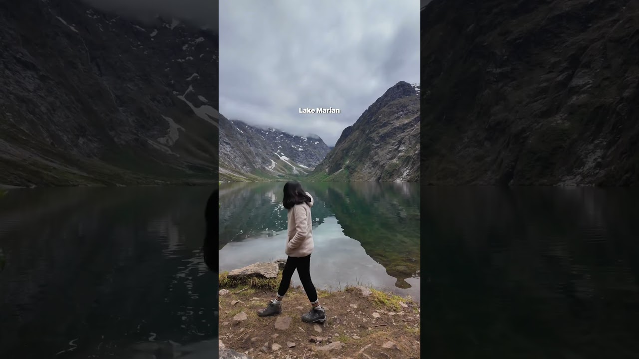 Things to see in the Milford sound 😍