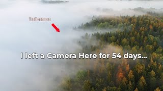 I Left my Trail Camera in the Woods for 54 DAYS! Here`s What Happened!