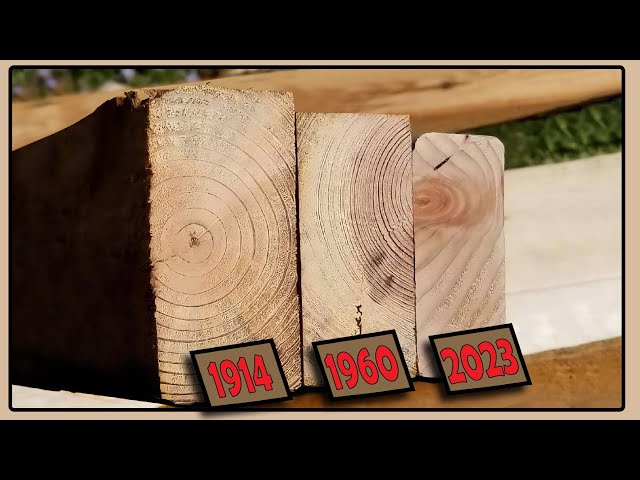 2x4 Lumber Sizes - The History Behind The Mystery - The Working Forest