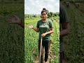 હું એક ખેડૂતની દીકરી છું! 👩‍🌾 | Proud Daughter of a Farmer #Khedut