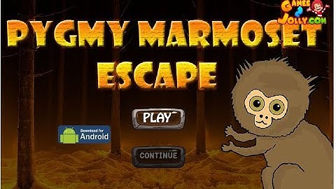 Pygmy Marmoset Escape - Walkthrough