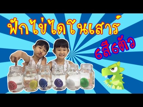 ฟักไข่ไดโนเสาร์ของเล่น #6สี6ตัว /Dinosaur eggs!