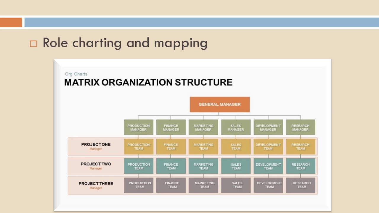 Cross Functional Organizational Chart