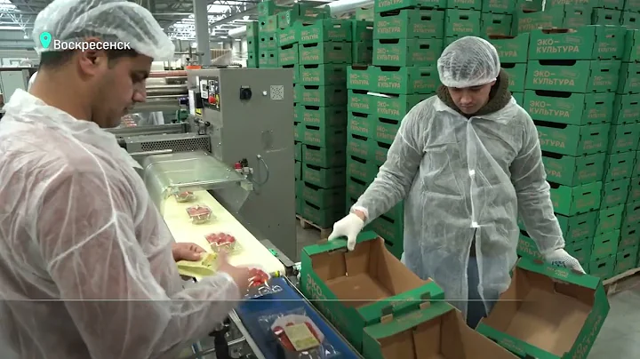 Производителям попасть со своим товаром в торговую сеть — легко!