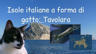 Isole italiane a forma di GATTO? Dopo Procida ecco Tavolara! 