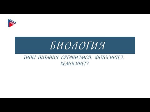 10 класс Биология Типы питания организмов. Фотосинтез. Хемосинтез