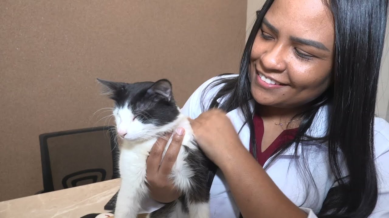 Março Amarelo chama atenção para doença renal nos gatos