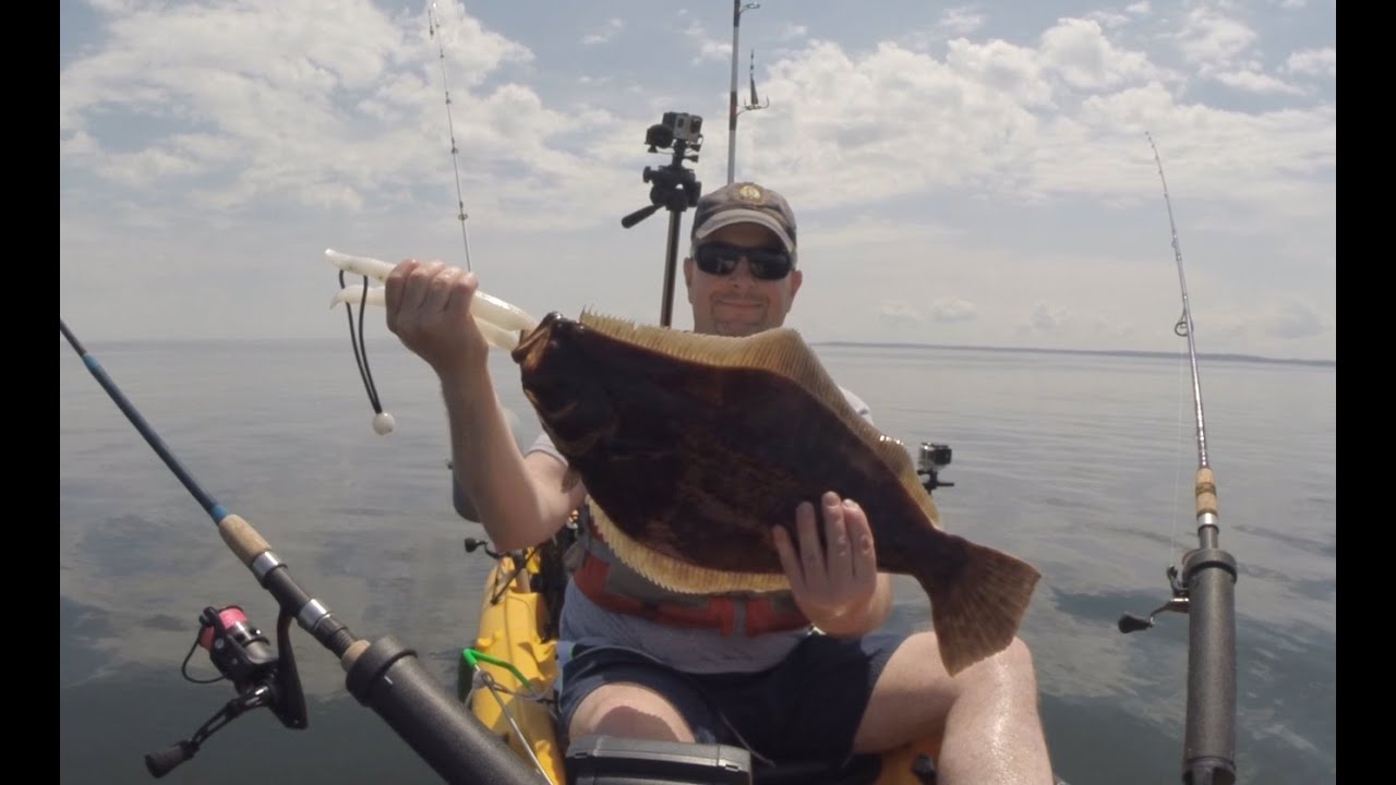2016 Kayak Fluke Fishing Long Island Sound YouTube