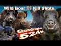 Wild Boar Hunting Shots Compilation // Compilation de tir au Sanglier// 2022