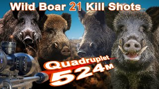 Wild Boar Hunting Shots Compilation // Compilation de tir au Sanglier// 2022