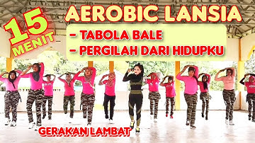 15 MENIT SENAM AEROBIK LANSIA | TABOLA BALE | LAGU TIMUR VIRAL | CHOREO Irna Chendani