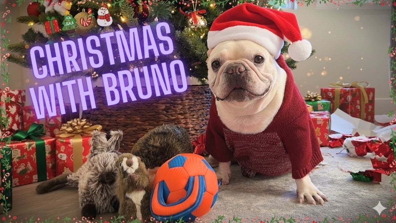 It's Finally CHRISTMAS!! 🎄✨🎁 (Opening Presents)