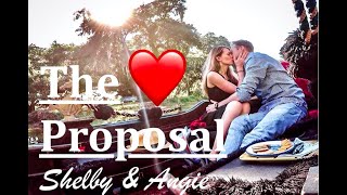 The Proposal - We're Engaged! - Complete Surprise! The Proposal - We're Engaged! - Complete Surprise!
