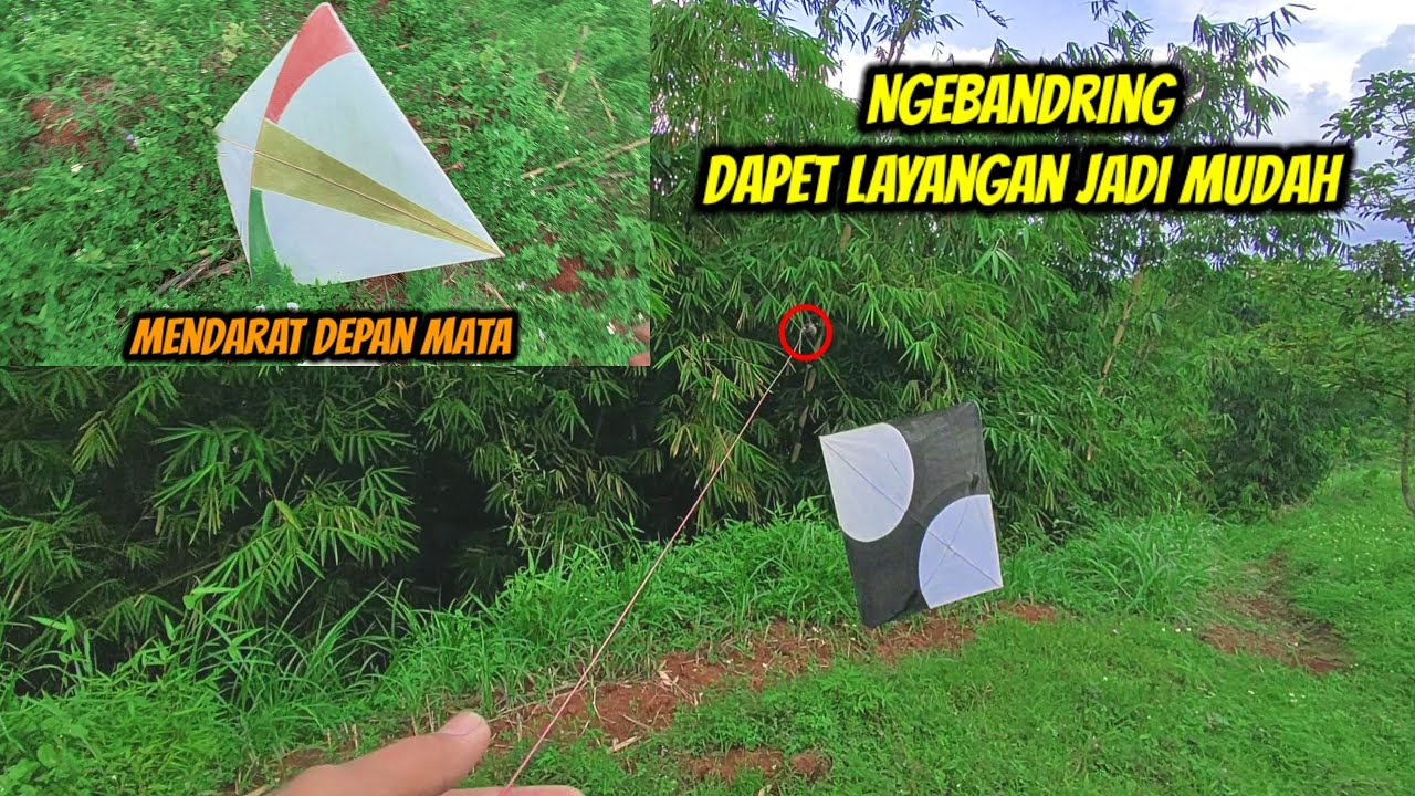 MORO LAYANGAN GIBLUR JAUH, DAPET NYA DI BANDRING | Hobi Om