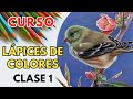 Clase 1: Dibujo ✏️ Lápices de Colores │ Natalia Suárez 🎨