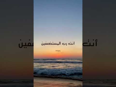 الشعراوي اللهم إني أشكو إليك ضعف قوتي وقلة حيلتي وهواني على الناس 