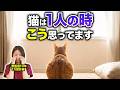 猫が留守番中に一人で感じている“本当の気持ち”はコレです