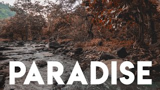 Paradise - Nature Film