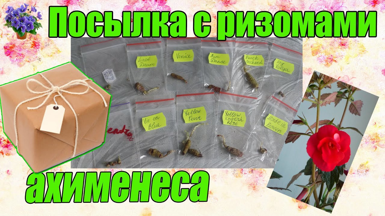 Интернет Магазин Ахименесов Почтой