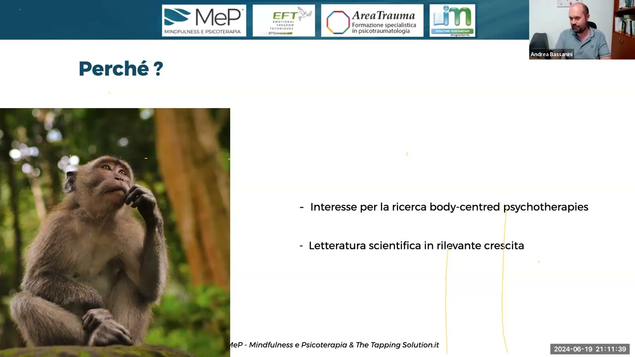 Andrea BASSANINI: Tecniche di Tapping. Il Clinical EFT in psicoterapia