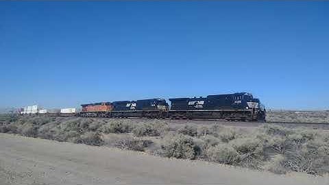 WB BNSF Domestic Intermodal/Port Stack Train Feat Duo NS Leading At Hodge Ca! #bigbossrailfanner