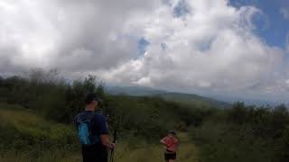 Thunderhead Mountain / Rocky Top Summit Run Via Cades Cove