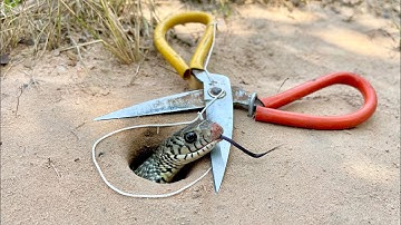 Easy Creative DIY Snake Trap Using New Scissors Catch Big Snake in Hole #snaketrap#shorts