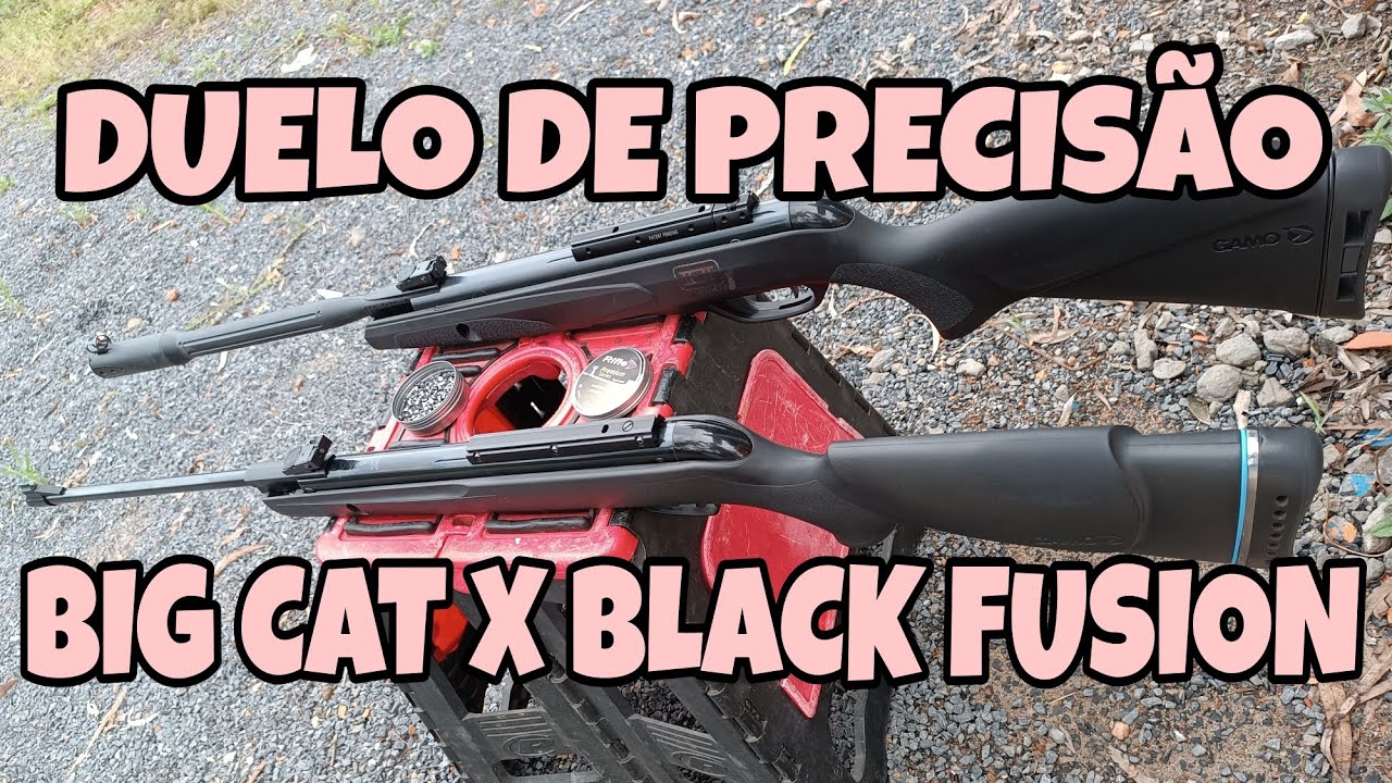 DUELO ENTRE BIG CAT X BLACK FUSION 🔥