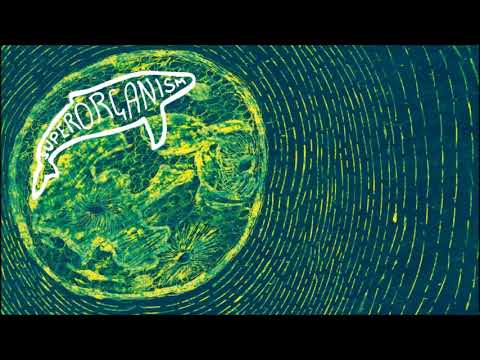 Imatge de SPRORGNSM