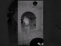FBI Releases Video of Nancy Guthrie Kidnapping Suspect 🕵️♂️