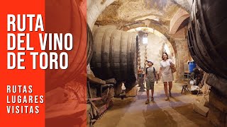 Ruta del vino de TORO. Lugares  recomendados para ver y visitar - Zamora Valladolid / Castilla León