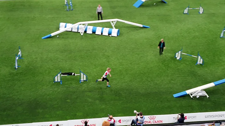 LUX Jessica Patterson Large Agility AWC 2019