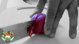Download Lagu RODE UI SNIJTECHNIEK | RED ONION CUTTING TECHNIQUE | Chef Anand Cooking MP3