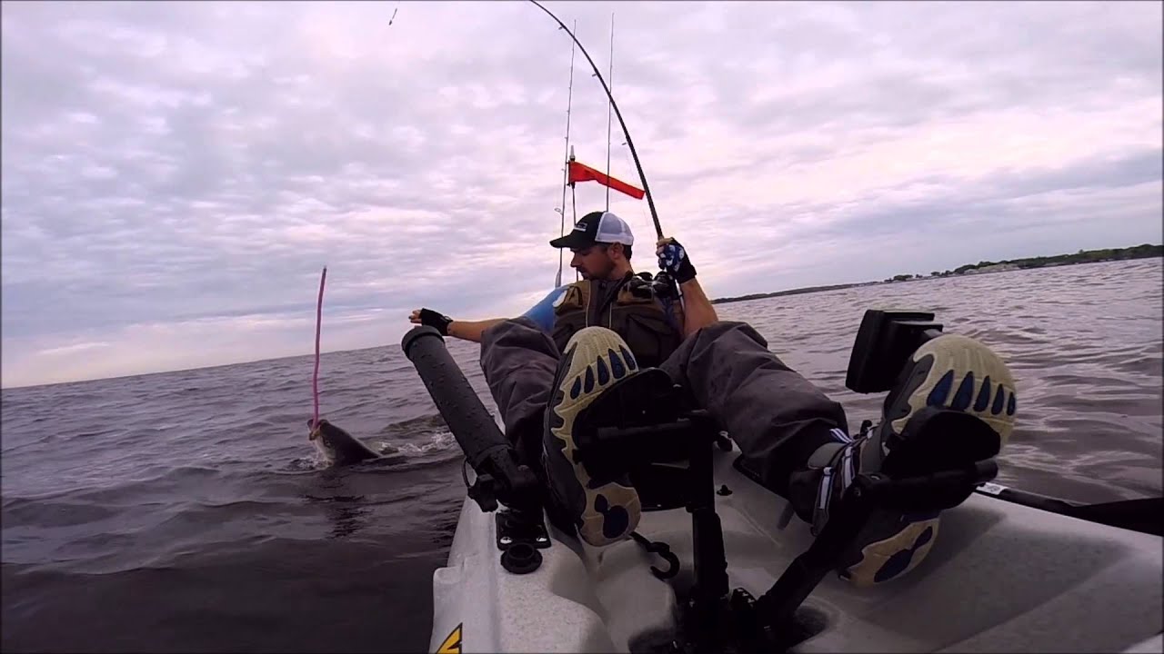 33" Striped Bass CT River 5_21_14 YouTube