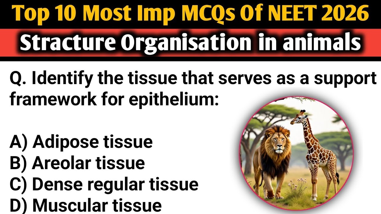 Neet 2026 : Here are 10 NCERT-based MCQs on Structural Organisation in ...