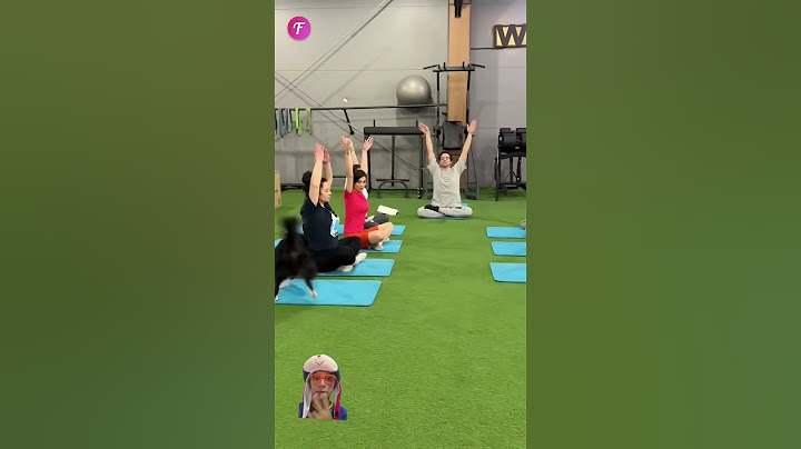 Adorable Dog Changes The Rules at Gym #shortsviral