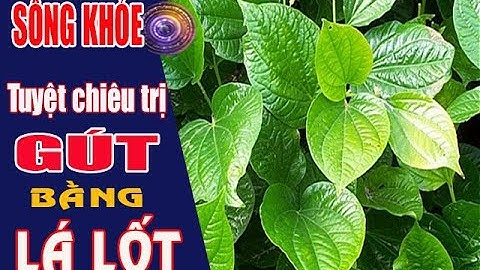 [Sống Khỏe] Cây thuốc nam - Trị bệnh gút bằng cây thuốc trong vườn mang lại hiệu quả bất ngờ
