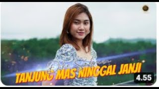 DIKE SABRINA - TANJUNG MAS NINGGAL JANJI ( Official Music Video )