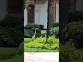 Crane vs Stork